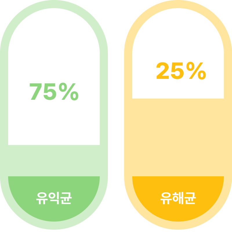 신체 발달 영역별
연관 미생물